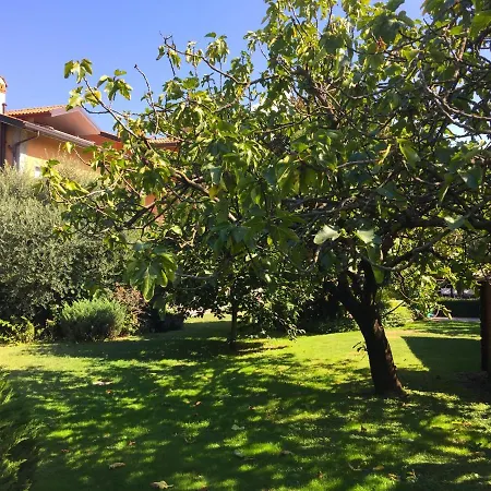 Abies Di Apartment