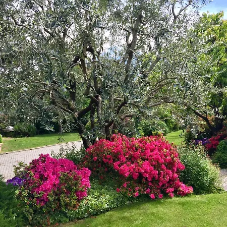 Apartment Abies Di
