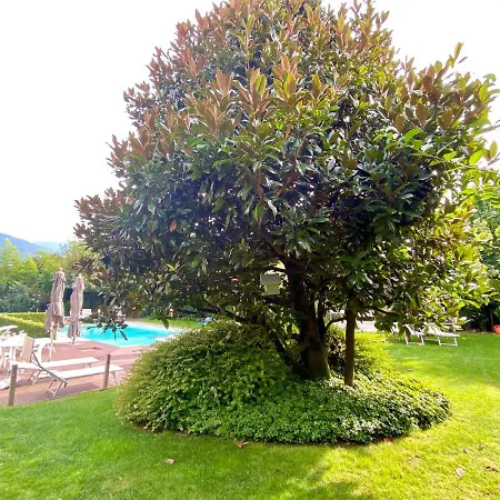 Abies Di Lägenhet Dongo